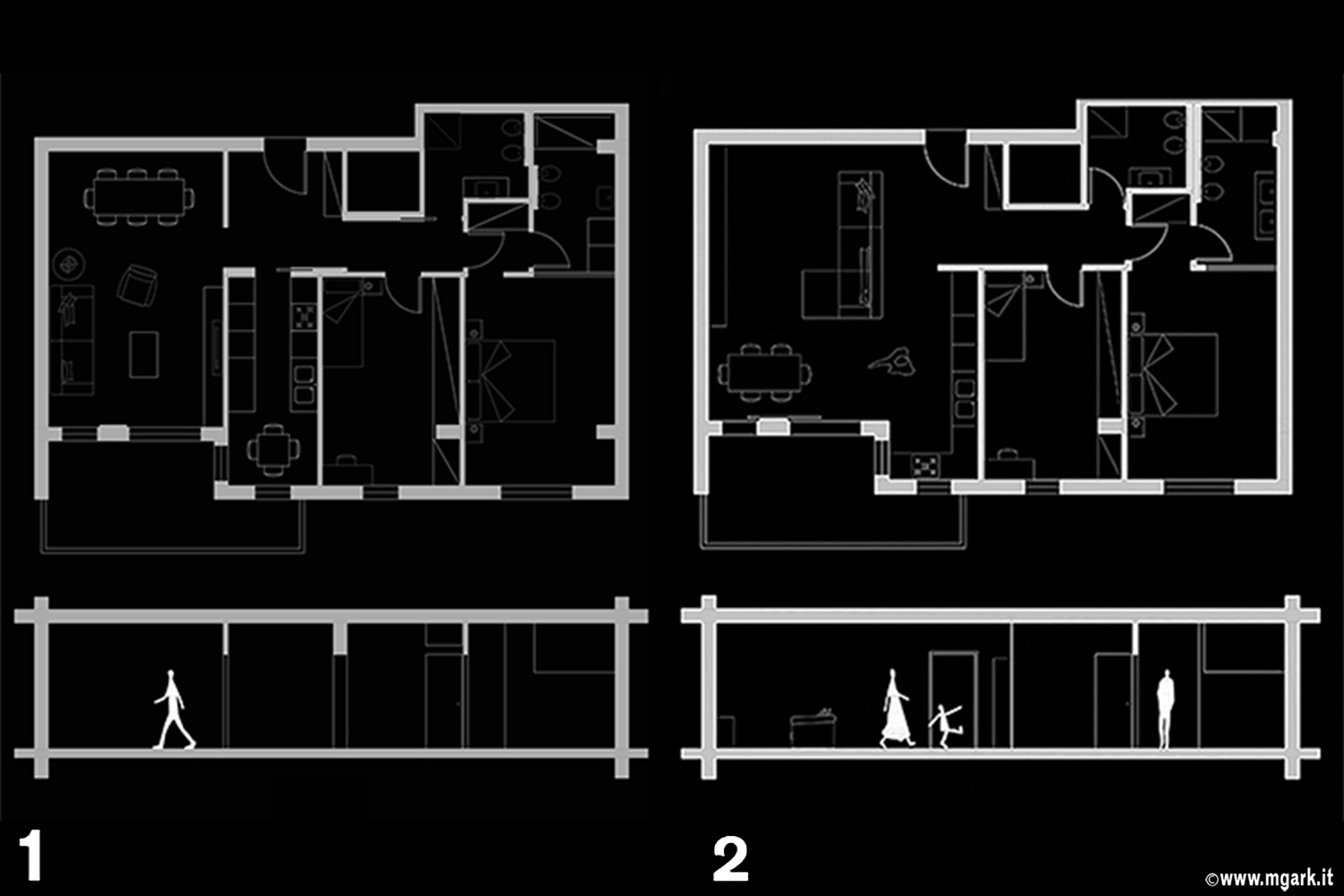 D27_eterozygote2_14plan